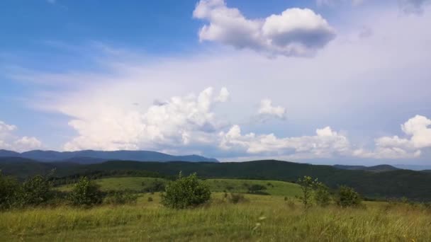 Landschaften Der Karpaten Sommer — Stockvideo
