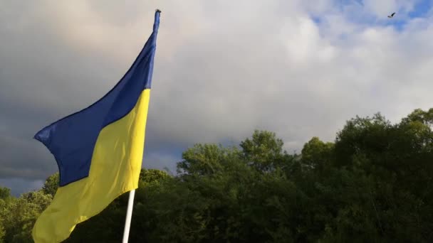 Ουκρανική Σημαία Αναπτύσσεται Στον Άνεμο — Αρχείο Βίντεο