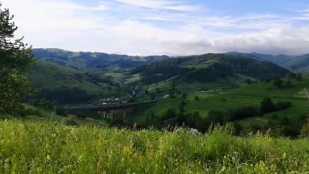 Der Zug Fährt Über Eine Bergbrücke Den Karpaten — Stockvideo