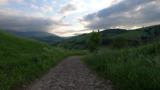 Landscapes Carpathian Mountains Summer — Stock Video