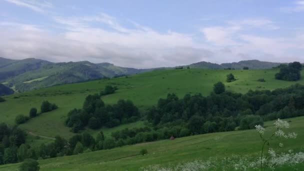 Paisagens Das Montanhas Cárpatas Verão — Vídeo de Stock