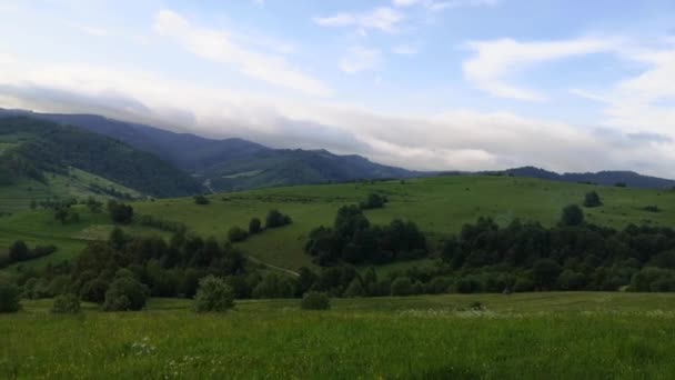 夏のカルパチア山脈の風景 — ストック動画