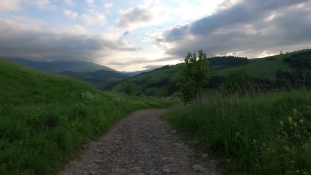 Suv Viagens Verão Cárpatos — Vídeo de Stock