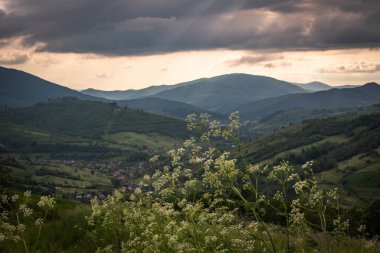 Yazın Karpat Dağları 'nın manzaraları