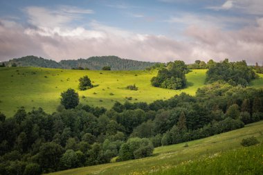 Yazın Karpat Dağları 'nın manzaraları