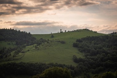 Yazın Karpat Dağları 'nın manzaraları