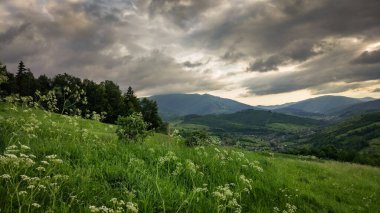 Yazın Karpat Dağları 'nın manzaraları