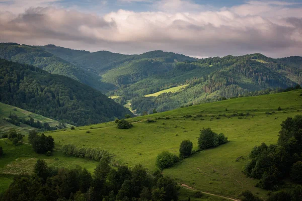 Літні Пейзажі Карпатських Гір — стокове фото