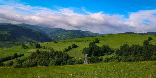 Літні Пейзажі Карпатських Гір — стокове фото