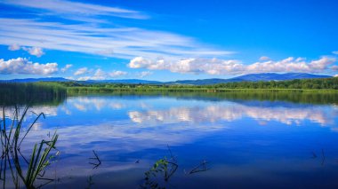 Sunny Transcarpathian denilen manzara 