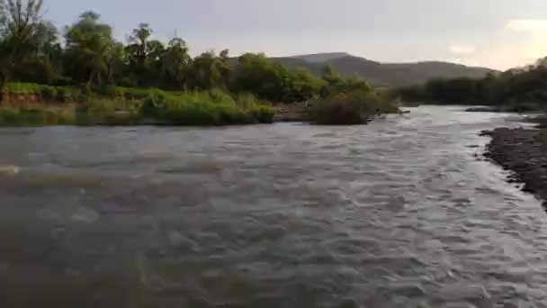 カルパチア山脈の全流れる山の川 — ストック動画