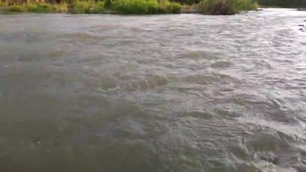 Río Montaña Que Fluye Las Montañas Cárpatos — Vídeo de stock