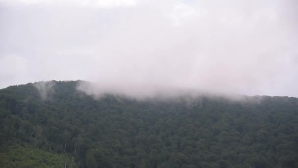 อนพาย ฝนฟ าคะนองในภ เขา Carpathian — วีดีโอสต็อก