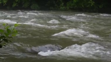 Fırtınadan sonra sislerin arasında akan dağ nehri.