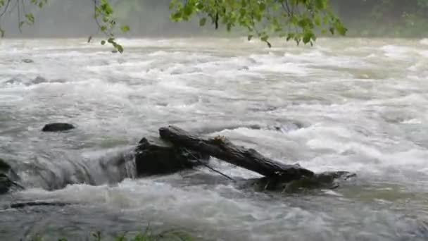 Rio Montanha Cheio Fluxo Nevoeiro Depois Uma Tempestade — Vídeo de Stock