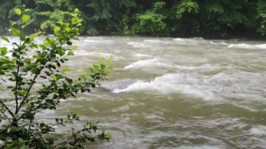 Fırtınadan sonra sislerin arasında akan dağ nehri.