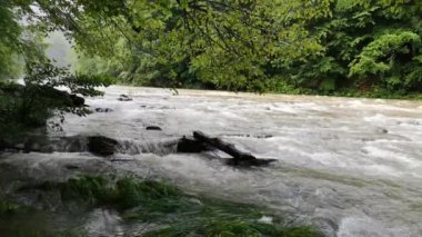 Fırtınadan sonra sislerin arasında akan dağ nehri.
