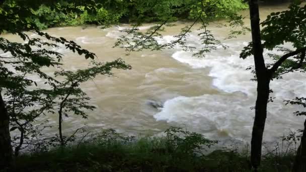 Fiume Montagna Che Scorre Nella Nebbia Dopo Temporale — Video Stock