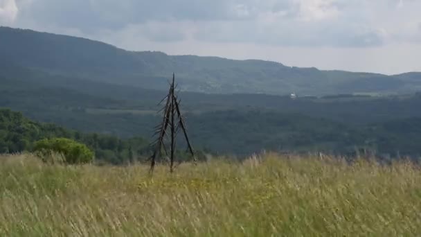 Zeitraffer Sommerlandschaft Vor Einem Gewitter Den Karpaten — Stockvideo