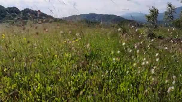 喀尔巴阡山脉雷雨前的时光流逝的夏日风景 — 图库视频影像