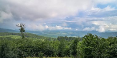 Dağ ormanından vadiye manzara