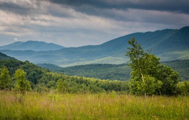 Karpatya dağlarında yaz fırtınası