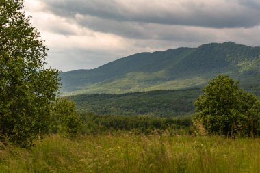 Karpatya dağlarında yaz fırtınası
