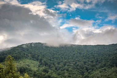 Karpatya dağlarında yaz fırtınası