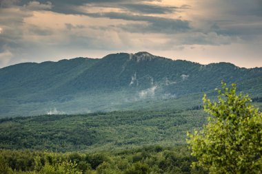 Karpatya dağlarında yaz fırtınası