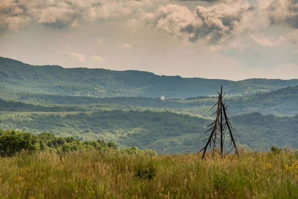 Karpatya dağlarında yaz fırtınası