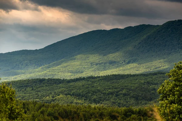 Karpatya dağlarında yaz fırtınası