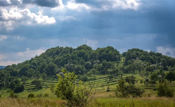 Sommergewitter Den Karpaten — Stockfoto