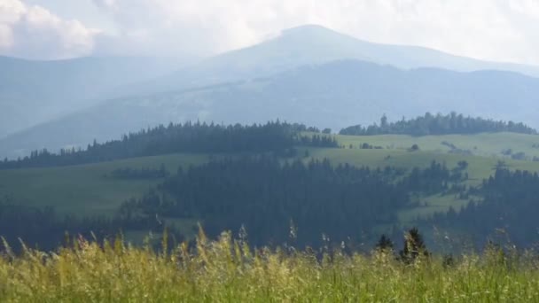 Paysage Estival Avec Vue Sur Chaîne Montagnes Borzhava Dans Les — Video