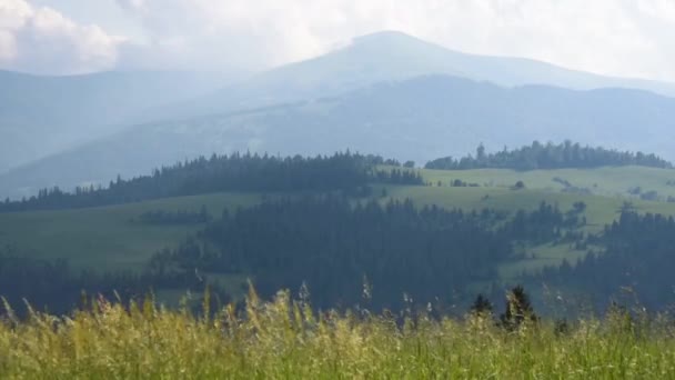 Nyári Táj Kilátással Hegyvonulatra Borzhava Kárpátok — Stock videók