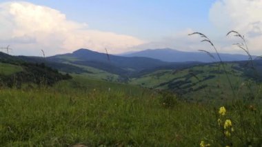 Karpatlar 'daki Borzhava dağ sırasının manzaralı yaz manzarası 