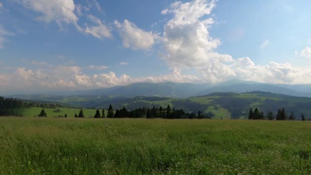 Καλοκαίρι Τοπίο Θέα Την Οροσειρά Borzhava Στα Καρπάθια — Αρχείο Βίντεο