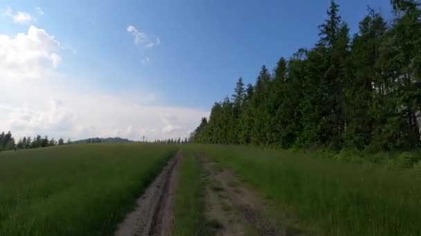 Suv Podróżuje Latem Karpaty — Wideo stockowe