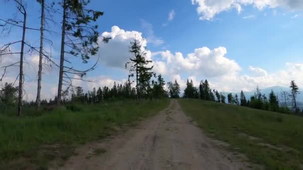 Suv Podróżuje Latem Karpaty — Wideo stockowe