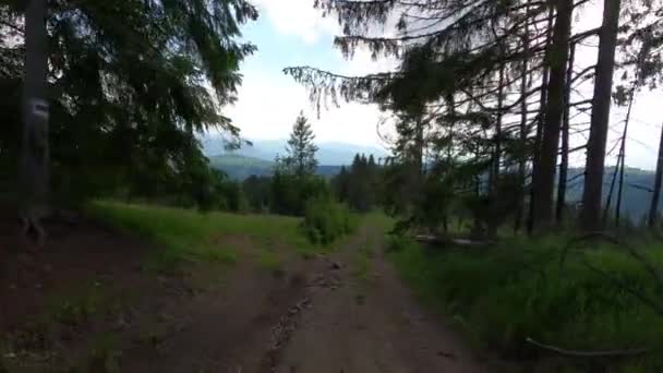 Suv Travels Summer Carpathians — Stock Video