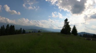 SUV yazın Karpatlar 'da seyahat eder.