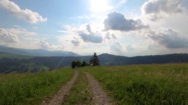 SUV yazın Karpatlar 'da seyahat eder.