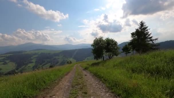 Suv Ταξιδεύει Καλοκαίρι Καρπάθια — Αρχείο Βίντεο