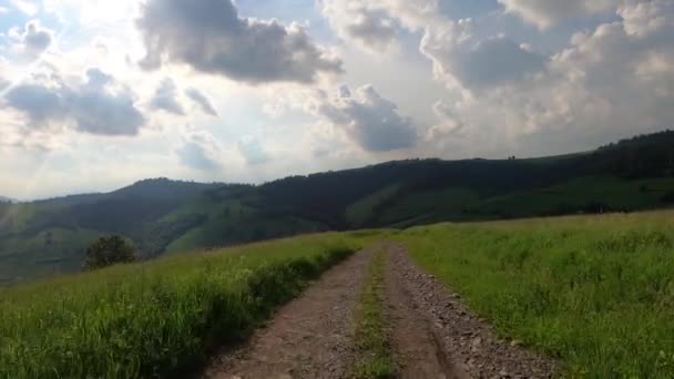 Suv Podróżuje Latem Karpaty — Wideo stockowe