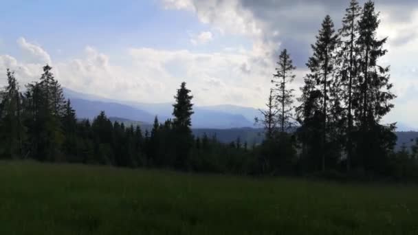 Suv Fährt Den Sommerkarpaten — Stockvideo