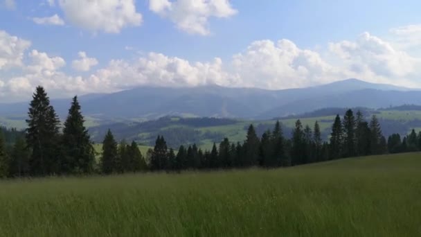 Suv Fährt Den Sommerkarpaten — Stockvideo