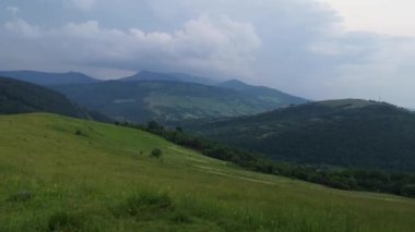SUV yazın Karpatlar 'da seyahat eder.