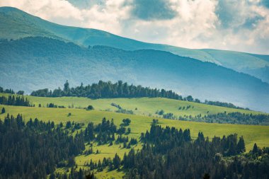 Karpatlar 'daki Borzhava dağ sırasının manzaralı yaz manzarası 
