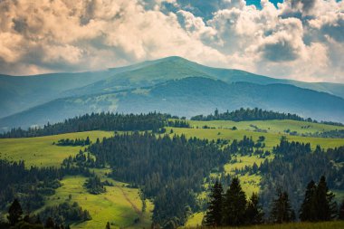 Karpatlar 'daki Borzhava dağ sırasının manzaralı yaz manzarası 