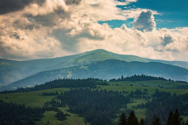 Karpatlar 'daki Borzhava dağ sırasının manzaralı yaz manzarası 