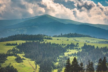 Karpatlar 'daki Borzhava dağ sırasının manzaralı yaz manzarası 